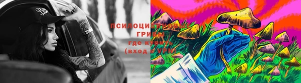 мяу мяу мука Алзамай
