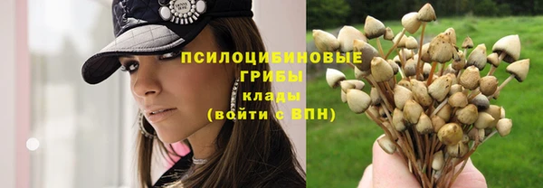 мяу мяу мука Алзамай