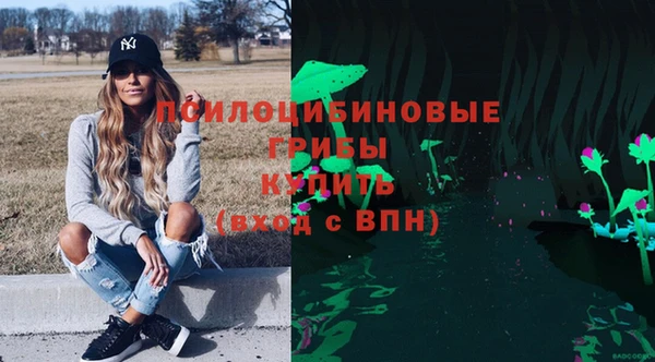 ГАЛЛЮЦИНОГЕННЫЕ ГРИБЫ Алексин
