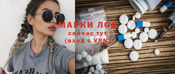 прущие грибы Алексеевка