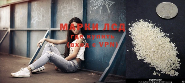 прущие грибы Алексеевка